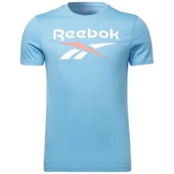 REEBOK Men's Identity Big Logo Short-Sleeve Tee