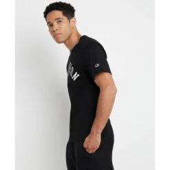 CHAMPION Men's Classic Graphic Short-Sleeve Tee -Fam By Style 2082255 001 alt2