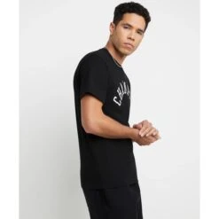 CHAMPION Men's Classic Graphic Short-Sleeve Tee -Fam By Style 2082255 001 alt3