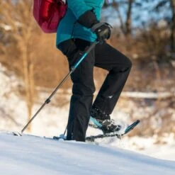 EMS Women's Pinnacle Soft Shell Pants -Fam By Style 2055056 001 alt2