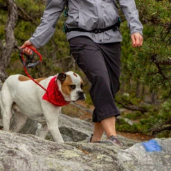 EMS Women's Compass 4-Points Trek Capri 7 EMS Women's Compass 4-Points Trek Capri -Fam By Style 2065248 001 alt3