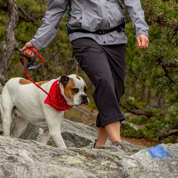 EMS Women's Compass 4-Points Trek Capri 4 EMS Women's Compass 4-Points Trek Capri - Image 4