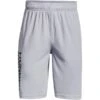 UNDER ARMOUR Boys' UA Prototype 2.0 Wordmark Shorts