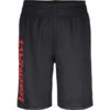 UNDER ARMOUR Boys' UA Prototype Wordmark Shorts