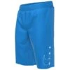 NIKE Boys' Swoosh 8" Swim Volley Shorts
