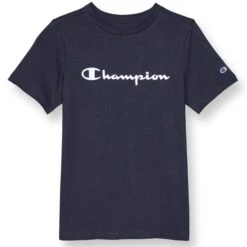 CHAMPION Boys' Short-Sleeve Tee -Fam By Style 2084954 402 alt2