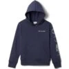 COLUMBIA Kids' Basin Park Graphic Hoodie