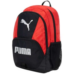 PUMA Evercat New Comer Backpack -Fam By Style 2085897 601 alt2