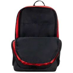 PUMA Evercat New Comer Backpack -Fam By Style 2085897 601 alt3