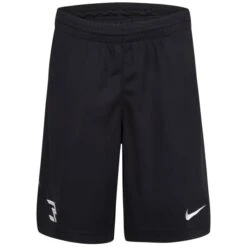 NIKE Boys' Badge RWB Shorts